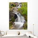 Up Small Stream Cascade Wall Decal