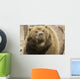 Captive Grizzly Alaska Zoo Wall Decal