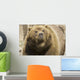 Captive Grizzly Alaska Zoo Wall Decal