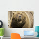 Captive Grizzly Alaska Zoo Wall Decal