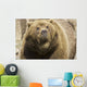 Captive Grizzly Alaska Zoo Wall Decal