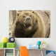 Captive Grizzly Alaska Zoo Wall Decal