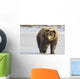 Captive Grizzly Walking Snow Wall Decal