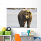 Captive Grizzly Walking Snow Wall Decal