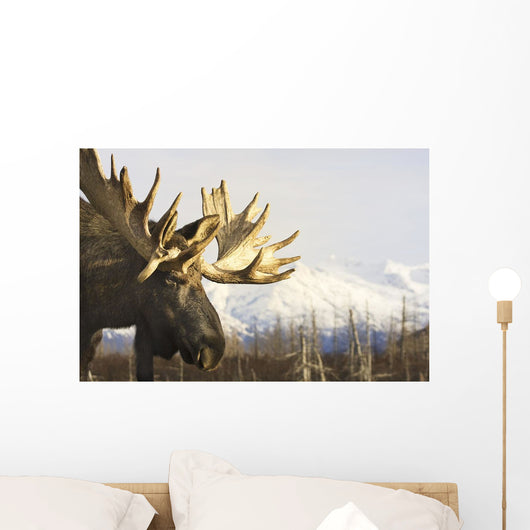 Captive up Profile Adult Wall Decal