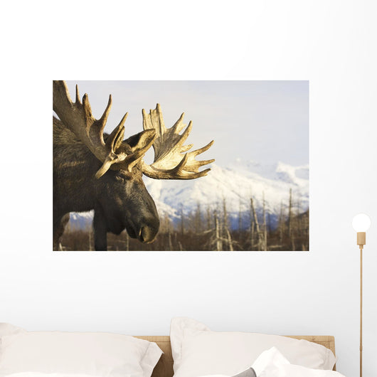 Captive up Profile Adult Wall Decal