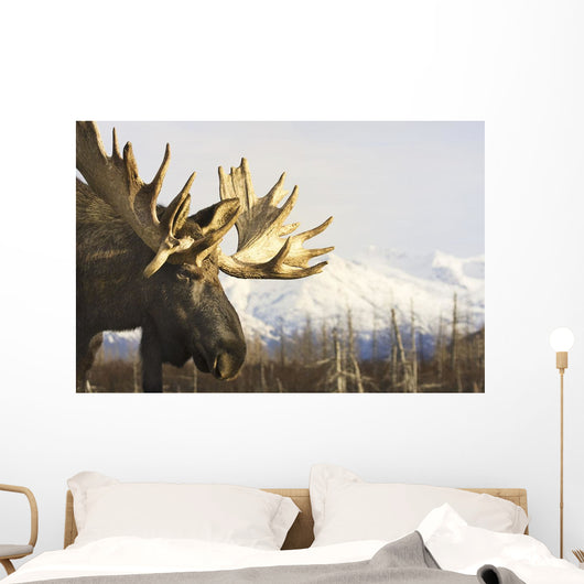 Captive up Profile Adult Wall Decal