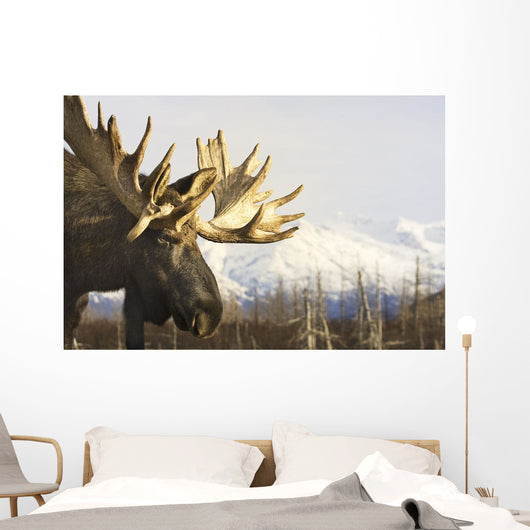 Captive up Profile Adult Wall Decal