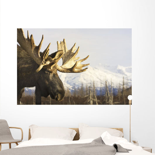 Captive up Profile Adult Wall Decal