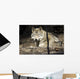 Captive Wolf Rests Alaska Wall Decal