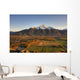 Sunset Pioneer Peak and Wall Decal