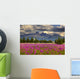 Scenic Pioneer Peak with Wall Decal