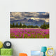 Scenic Pioneer Peak with Wall Decal