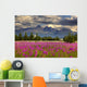 Scenic Pioneer Peak with Wall Decal