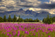 Scenic Pioneer Peak with Wall Decal