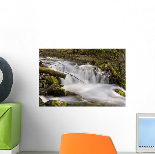 Up McHugh Creek Just Wall Decal