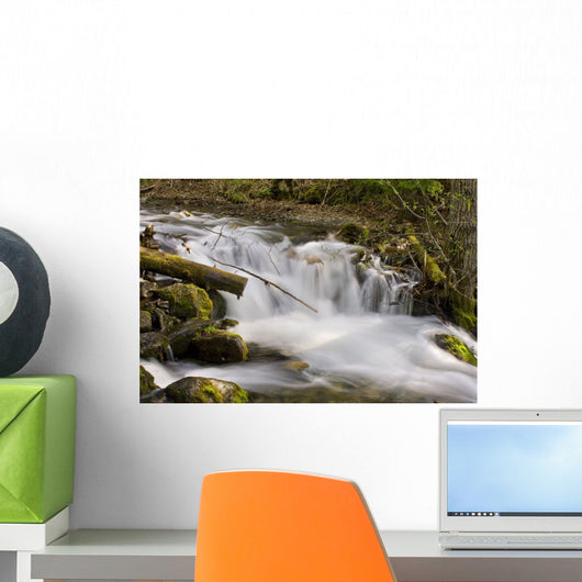 Up McHugh Creek Just Wall Decal