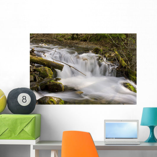 Up McHugh Creek Just Wall Decal