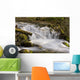 Up McHugh Creek Just Wall Decal