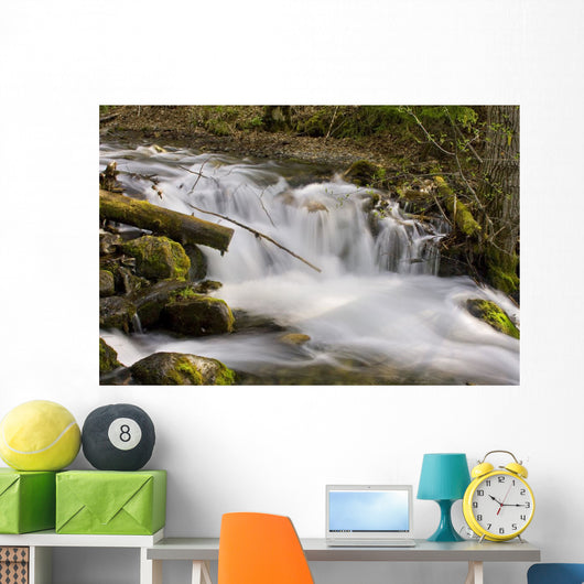 Up McHugh Creek Just Wall Decal
