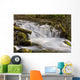 Up McHugh Creek Just Wall Decal