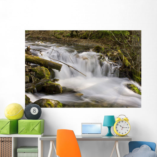 Up McHugh Creek Just Wall Decal