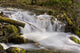 Up McHugh Creek Just Wall Decal