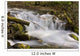 Up McHugh Creek Just Wall Decal