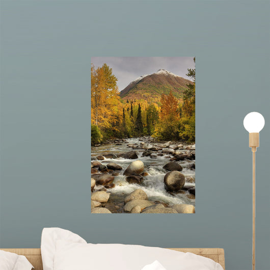 Scenic Little Susitna River Wall Decal