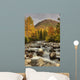 Scenic Little Susitna River Wall Decal