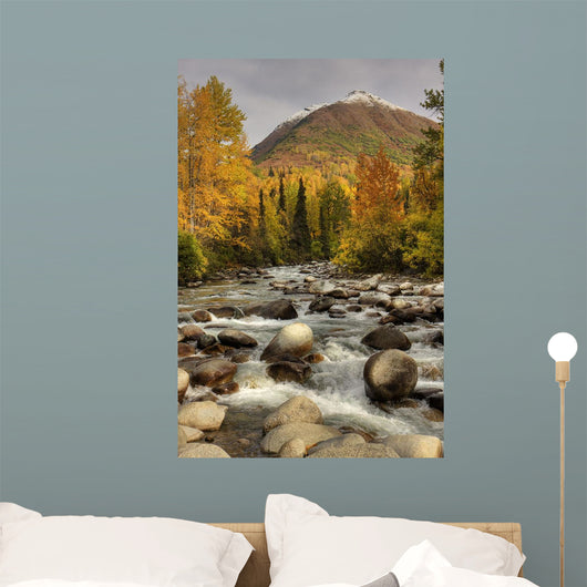 Scenic Little Susitna River Wall Decal