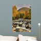 Scenic Little Susitna River Wall Decal