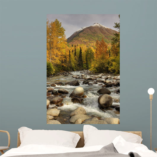 Scenic Little Susitna River Wall Decal