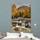 Scenic Little Susitna River Wall Decal