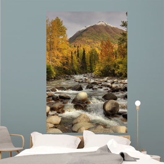 Scenic Little Susitna River Wall Decal