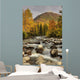 Scenic Little Susitna River Wall Decal