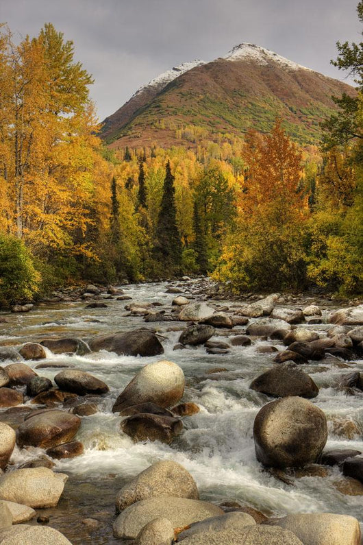 Scenic Little Susitna River Wall Decal
