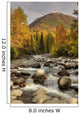 Scenic Little Susitna River Wall Decal