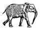 Elephant Walking Wall Mural