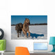 Irish Wolfhound Wall Mural