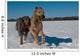 Irish Wolfhound Wall Mural