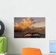 Humpback Whale Tail Wall Decal