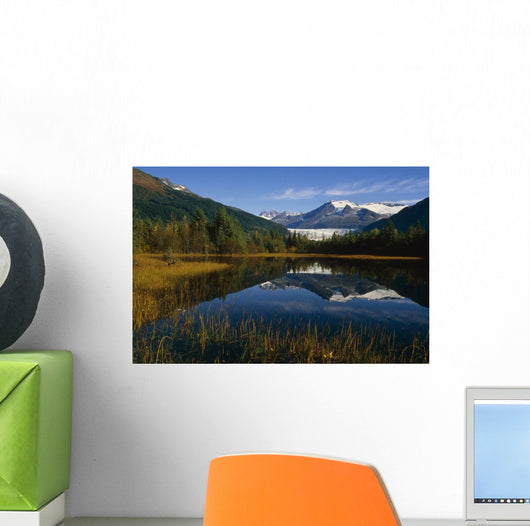 Mendenhall Glacier Coast Mtns Wall Decal