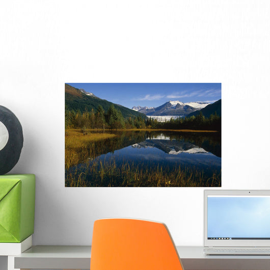 Mendenhall Glacier Coast Mtns Wall Decal