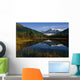 Mendenhall Glacier Coast Mtns Wall Decal