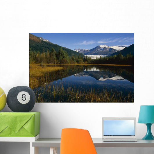 Mendenhall Glacier Coast Mtns Wall Decal