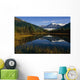 Mendenhall Glacier Coast Mtns Wall Decal
