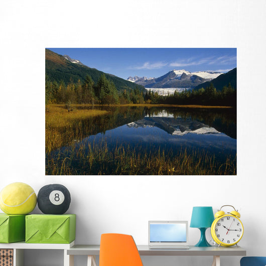 Mendenhall Glacier Coast Mtns Wall Decal