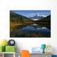 Mendenhall Glacier Coast Mtns Wall Decal