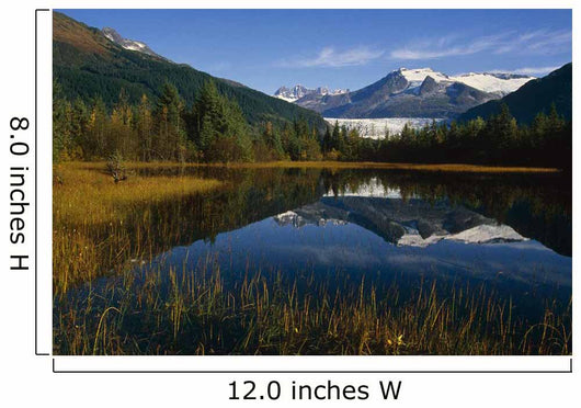 Mendenhall Glacier Coast Mtns Wall Decal